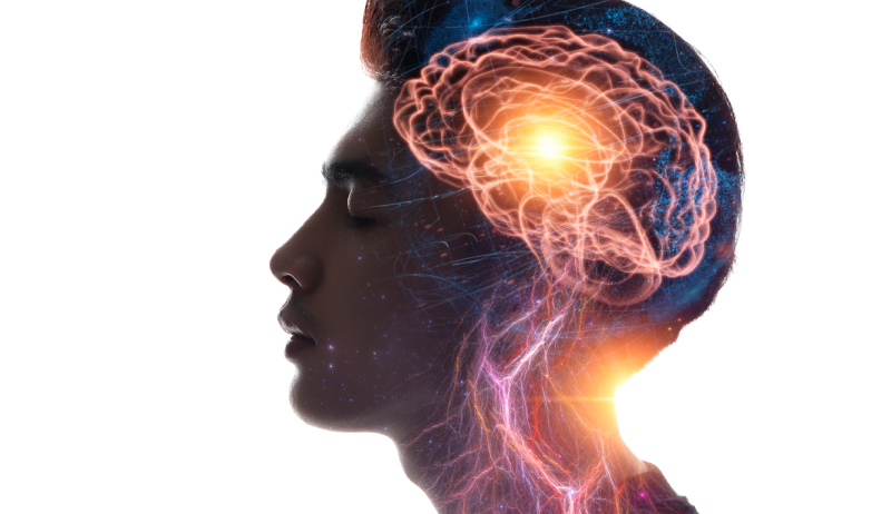 9 suplementos para aumentar la función cerebral